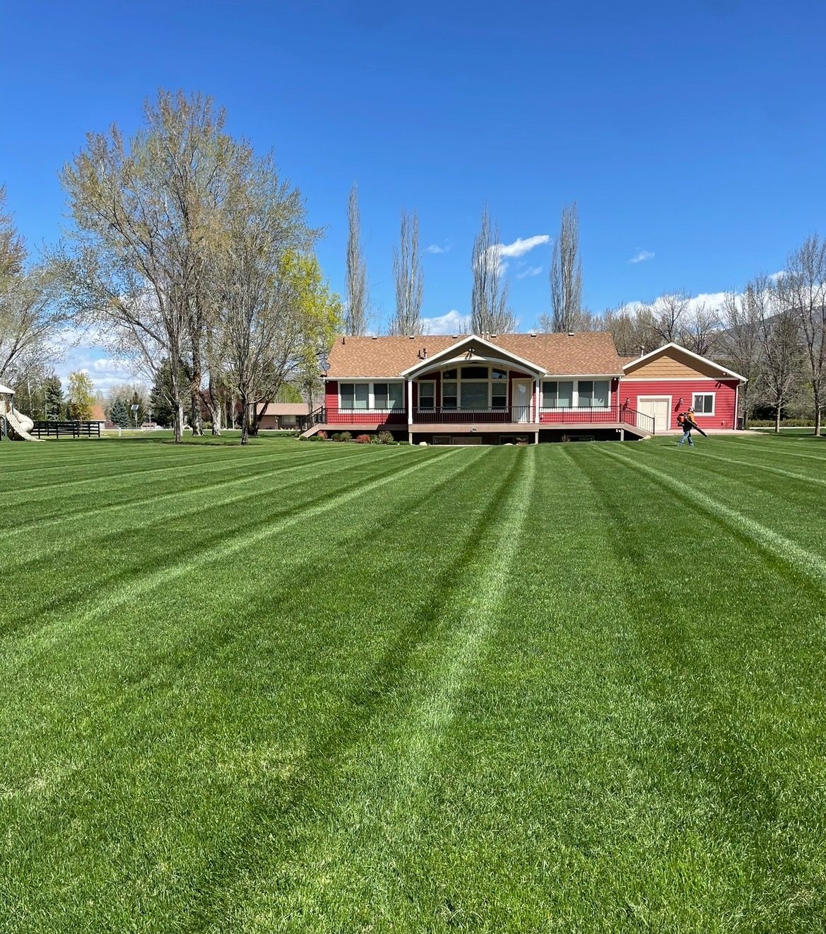Large residential lawn with precision mowing stripes — Liberty Utah
